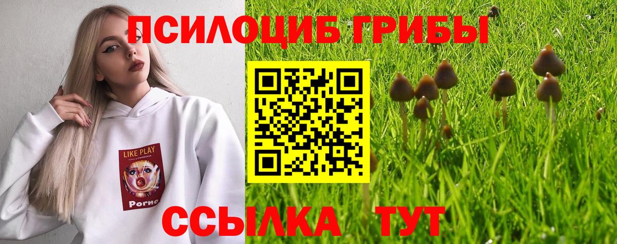 Псилоцибиновые грибы мицелий  Вход с VPN  где найти   Чехов  Псилоцибиновые грибы прущие грибы 